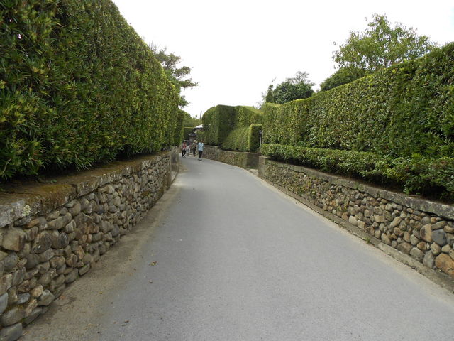 ���������l�����܂���_�m�����Ɖ��~�뉀�Q