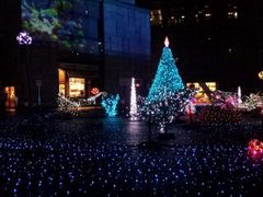 SIZUCA̓ۃtH[ւ̓eʐ^1