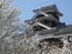 たこさんの熊本城の投稿写真1