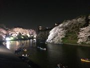 `񂳂̐璹PΓ̍؂̓eʐ^1