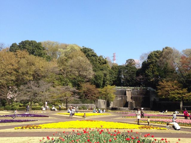 ����s���O���[���Z���^�[