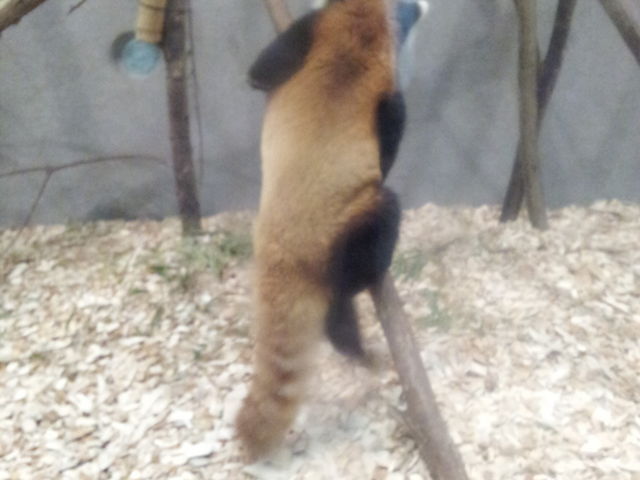 �~�R������