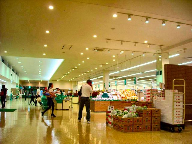 �c�����X���̗l�q_�c����