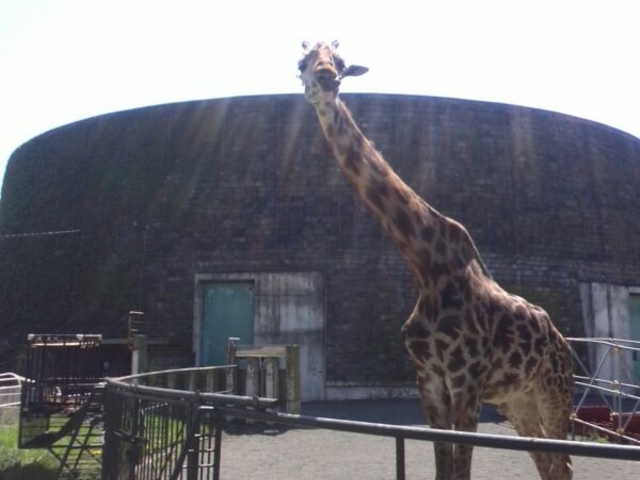 �L��������_�~�R������