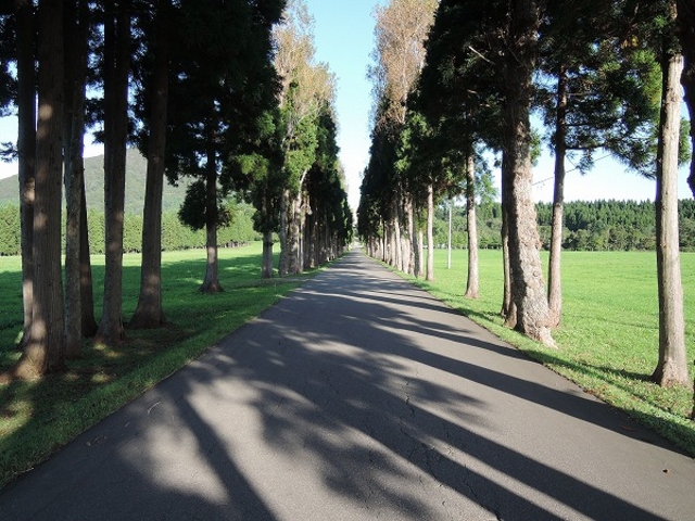 ���̒������H�̉��Ƀg���s�X�g�C���@������_�����V�g�[���̐����C���@�i�g���s�X�g�C���@�j