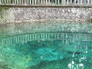 Mȑ^r̕ʕ{ٓVr̓eʐ^1