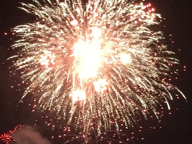 �����h�C�c��