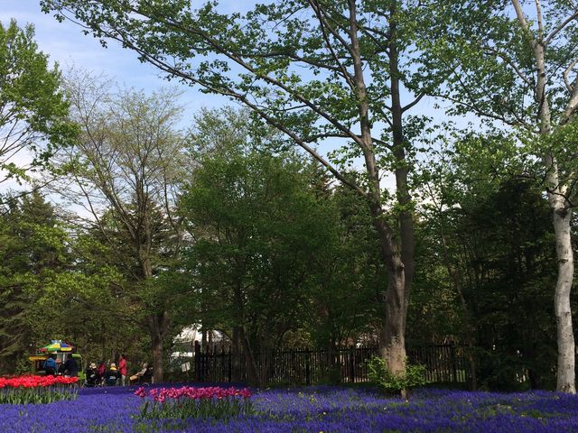 ���X�J���ƃ`���[���b�v�̋���_�S����������