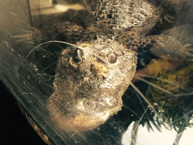 ���j������_�~�R������