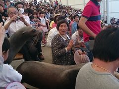 肳̓mr[`h&mቤւ̓eʐ^1