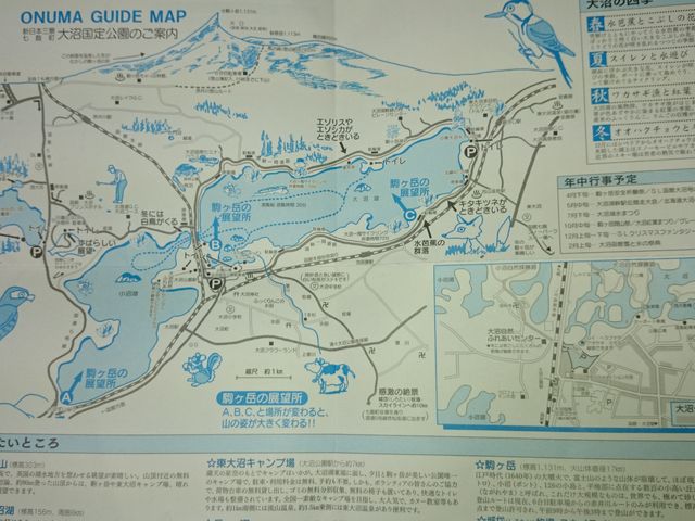 ����������