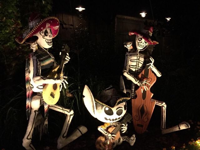 �����f�B�Y�j�[�V�[(R)