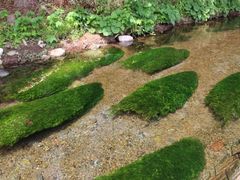 牛渡川の写真一覧 じゃらんnet