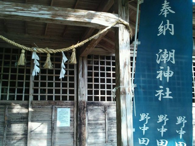 ܂邳񂳂̒_Ђ̓eʐ^1