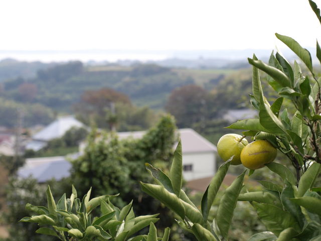 �Ëv��l�ό��_��