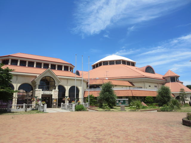 �������ڂ�����A���̔����������ڈ�ɂȂ�Ǝv���܂��B_�A�N�A�p���_�C�X �p�e�B�I