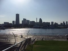 l`傳񋴍ۋqD^[~i̎ʐ^2