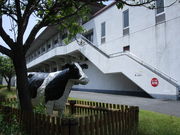 ����҂�����̃`�`���X������Ђ̓��e�ʐ^1