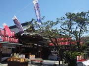 ܂邳񂳂̈_Ђ̓eʐ^1