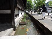 zin̒Øa얯ق̓eʐ^3