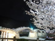 LOTTY̋gEёы^̓eʐ^1