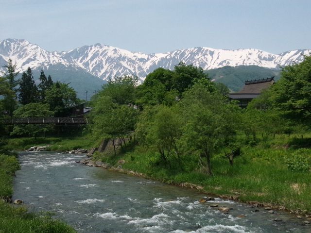 �V�����̐悩��B��܂����B_��o�݂̒苴