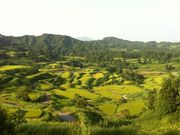 chayhian̐̒Ic̓eʐ^1