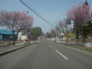 haru04̃Abv[h̃S̉Ԃ̓eʐ^1