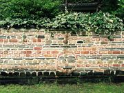 ec񂳂̋F̋uG{pق̓eʐ^2