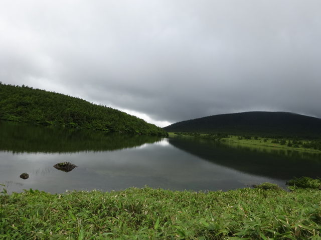 �ǂ���E�E�E_����������R�T���H