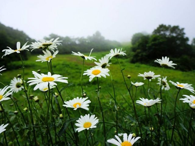 ���򍂌��X�L�[��