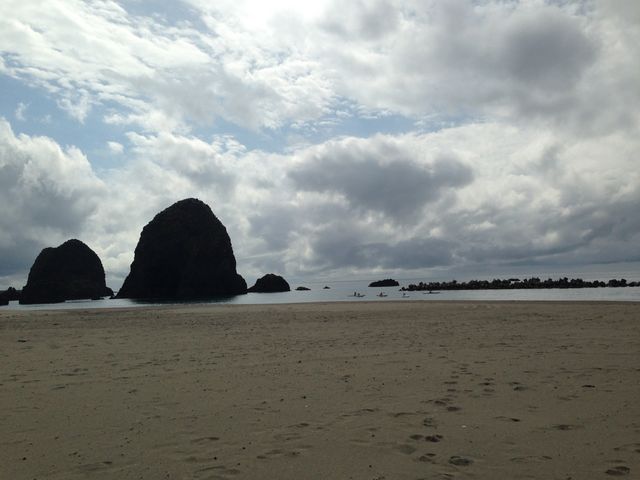 �O�{���C������