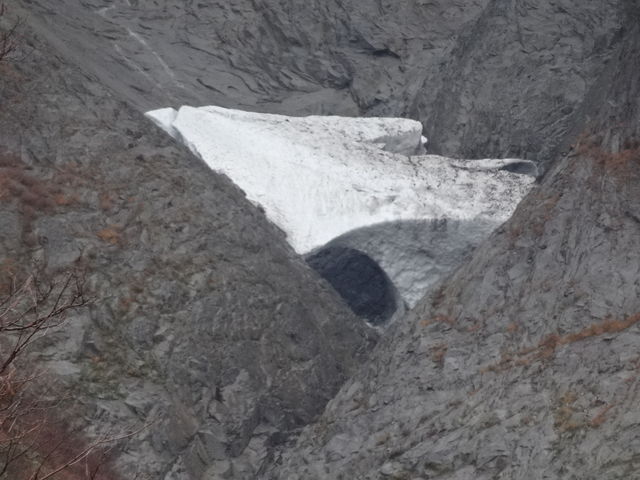 ��̑q��̐�k�ł��B_��m�q��