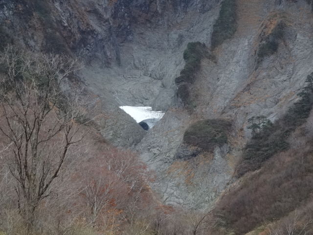 �f�G�Ȓ��߂ł����B_��m�q��