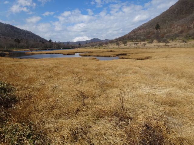 ���ߍō��ł��B_�`���c�{�~�S�P����