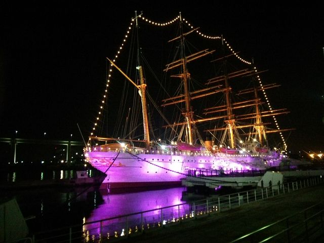 �C����_�C���ۃp�[�N