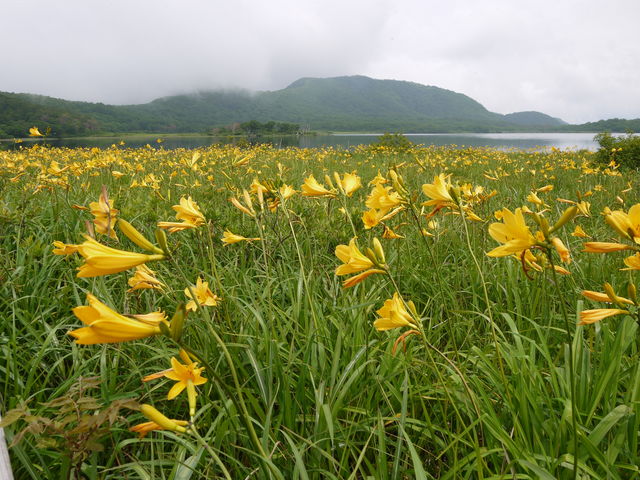 loopy̗ỸjbRELXQ̓eʐ^2