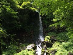 リサさんの千ヶ滝の投稿写真1