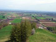 ~h̐VRXJCp[NW]̓eʐ^1