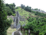 ����҂�����̗��j�̌�����u�����V�����̓��e�ʐ^1