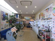 ҂̊⍑sRF~Nق̓eʐ^2