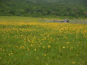 loopy̗ỸjbRELXQ̓eʐ^1