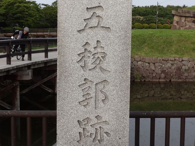 �ܗŊs����