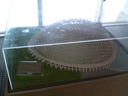 ]ˉƉL̃jvn`h[̓eʐ^5