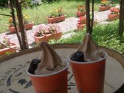 YUKĨ~JhR[q[y򋌓X̓eʐ^1