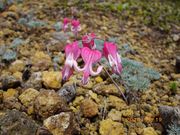 sou����̃R�}�N�T�̓��e�ʐ^1