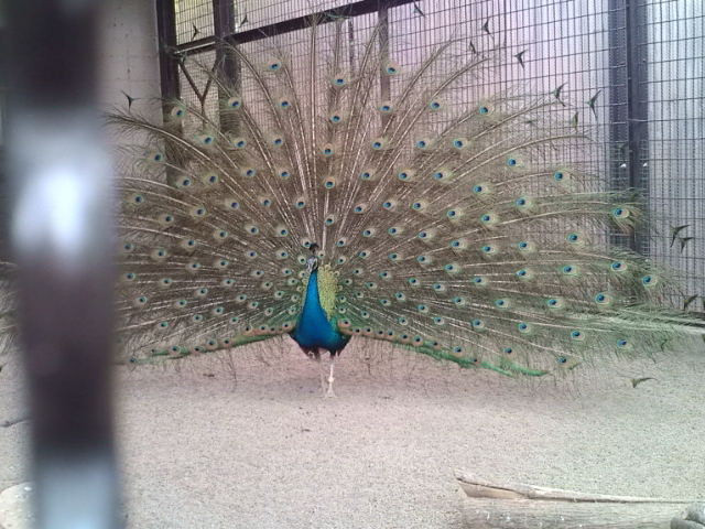 �E���͗Y1�H�Ǝ�2�H_����s��R������