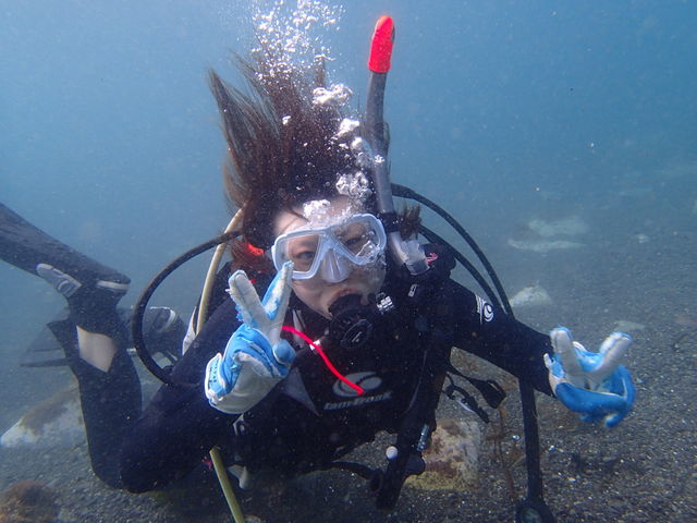 �C�����悩����_�_�C�r���O�X�N�[��WITH�R��