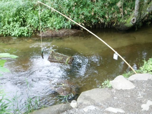 �J�b�p�ނ�ł��B_�J�b�p��