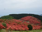 kumitch̘a򊋏Ruiт̓eʐ^1